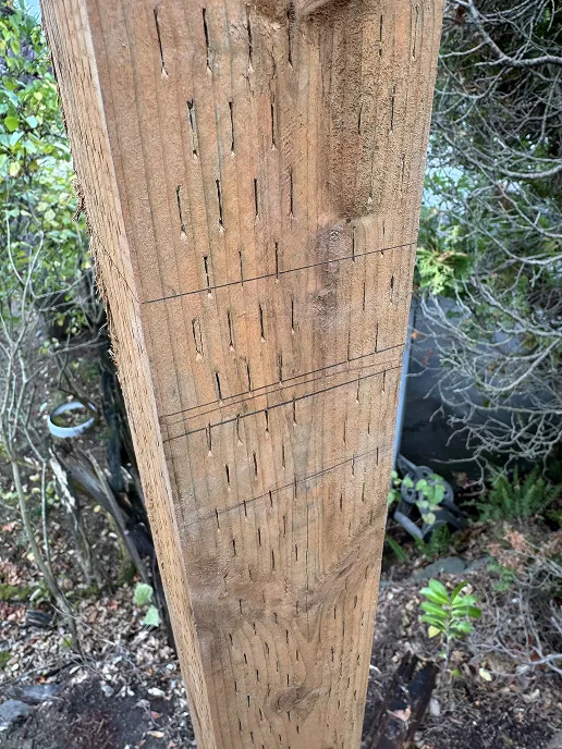 Tape measure laid across the ground with handwritten notes showing measurements checked multiple times